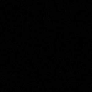 Meet your Posher, Bella